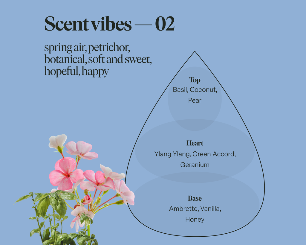 SIBLINGS | No 02 — Basil, Ylang Ylang, Ambrette