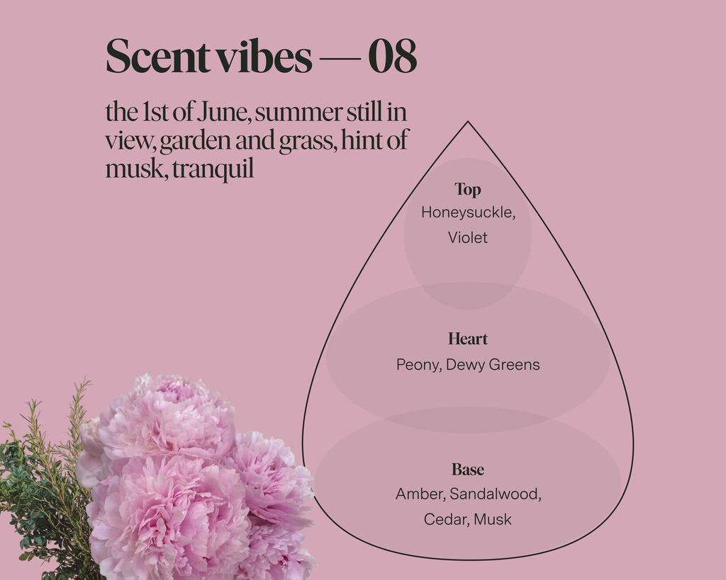 SIBLINGS | No 08 — Peony, Honeysuckle, Amber