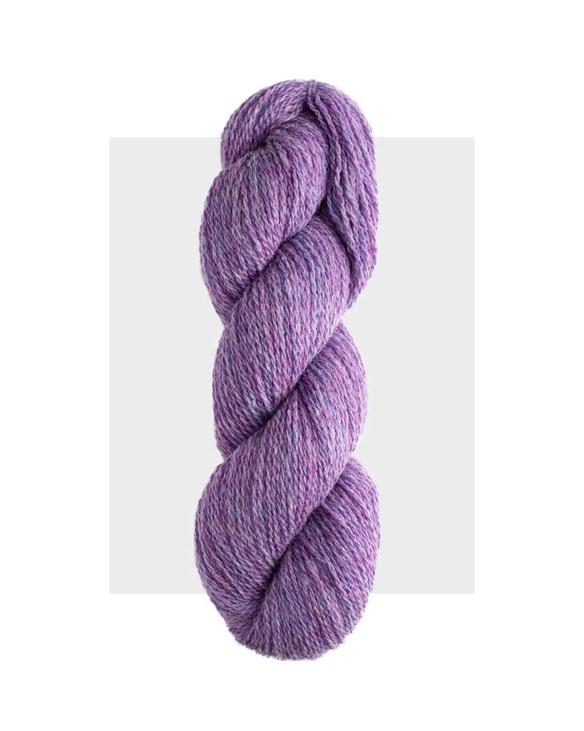 HARRISVILLE | SHETLAND