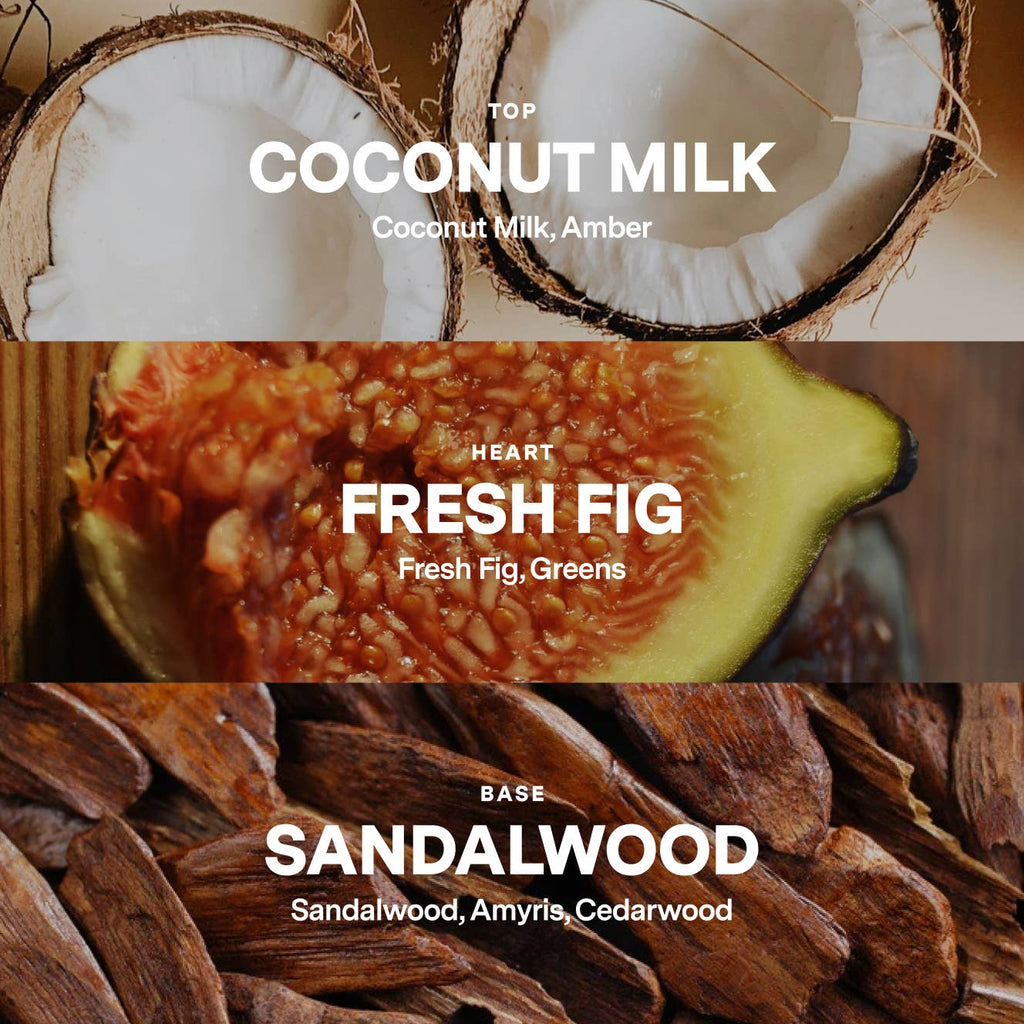 SIBLINGS | No 09 — Coconut Milk, Fresh Fig, & Sandalwood