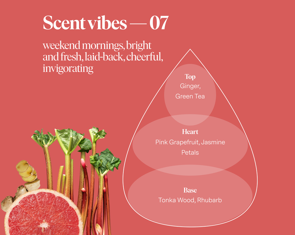 SIBLINGS | No 07 — Ginger, Pink Grapefruit, Rhubarb