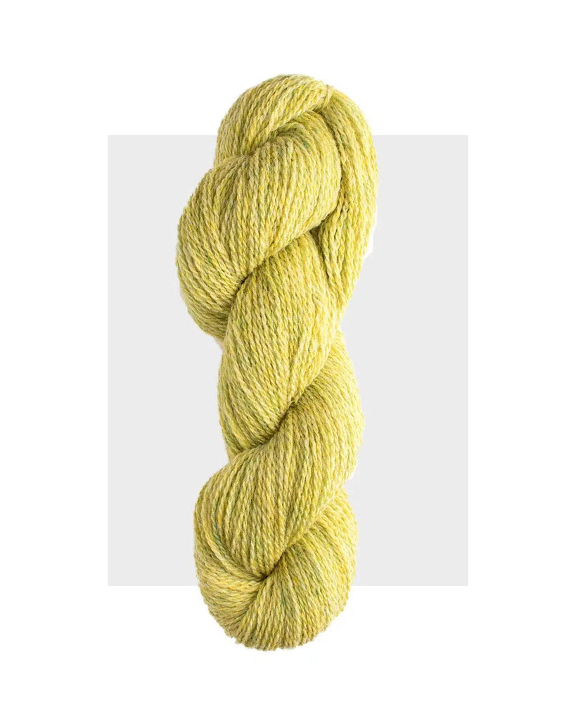 HARRISVILLE | SHETLAND