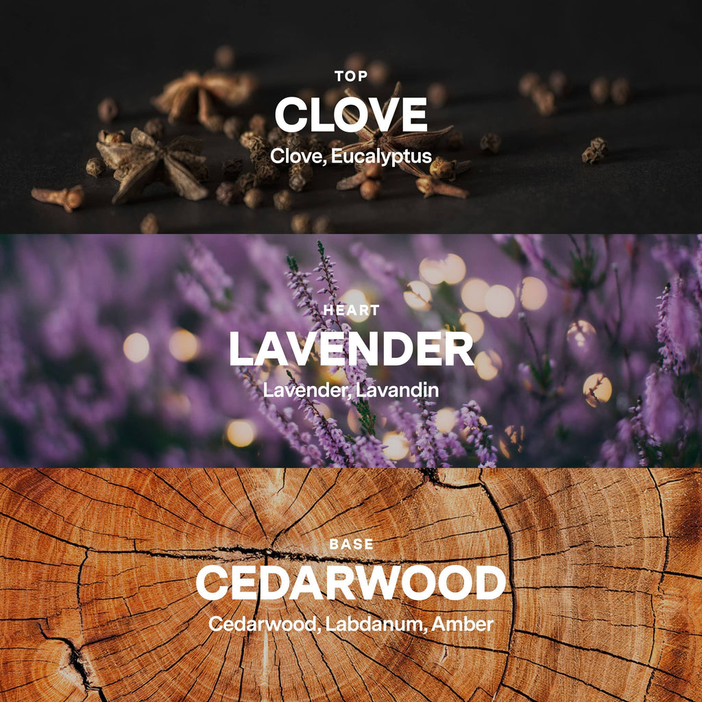SIBLINGS | No 05 — Clove, Lavender, & Cedarwood