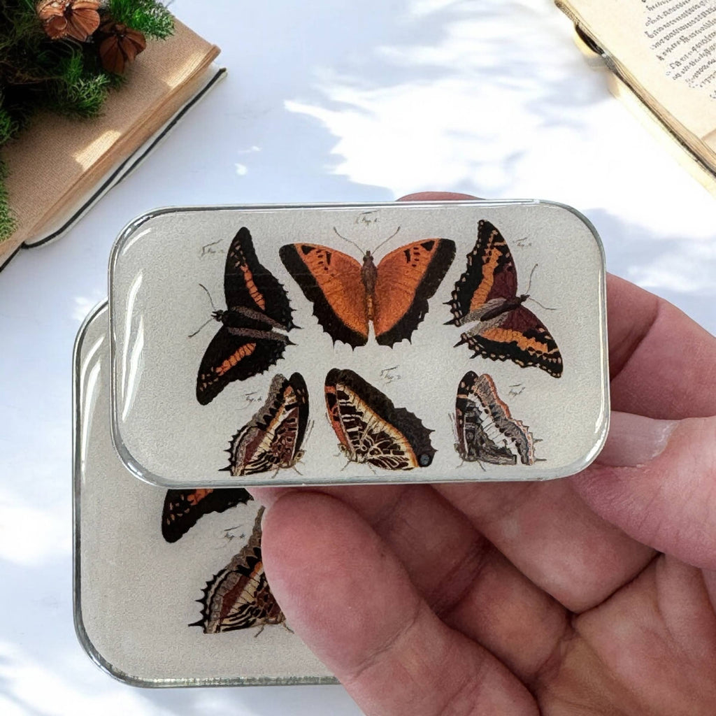 FIREFLY NOTES | Notions Tin :: Orange Butterflies