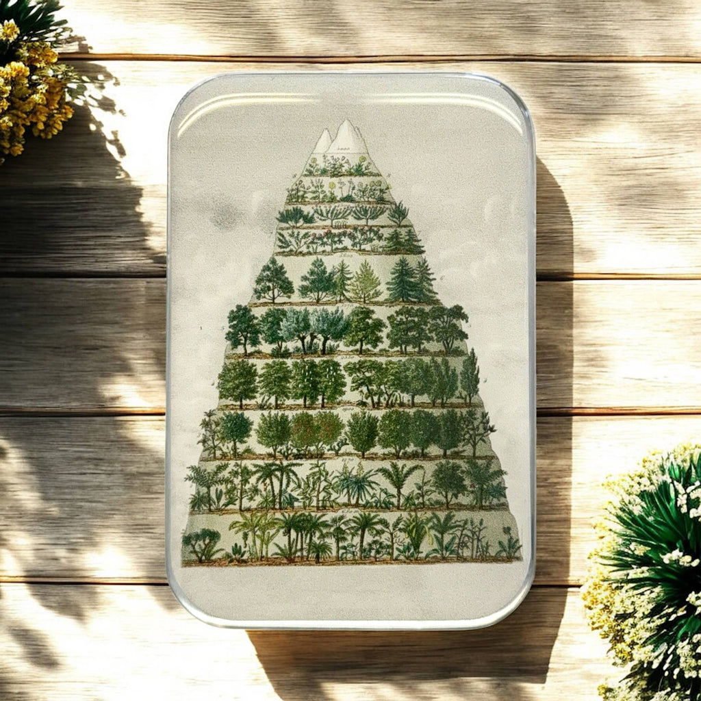 FIREFLY NOTES | Notions Tin :: Nature Meets Nostalgia