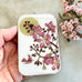 FIREFLY NOTES | Notions Tin :: Cherry Blossom & Swallow
