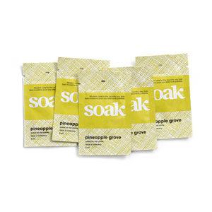 SOAK | Minisoaks