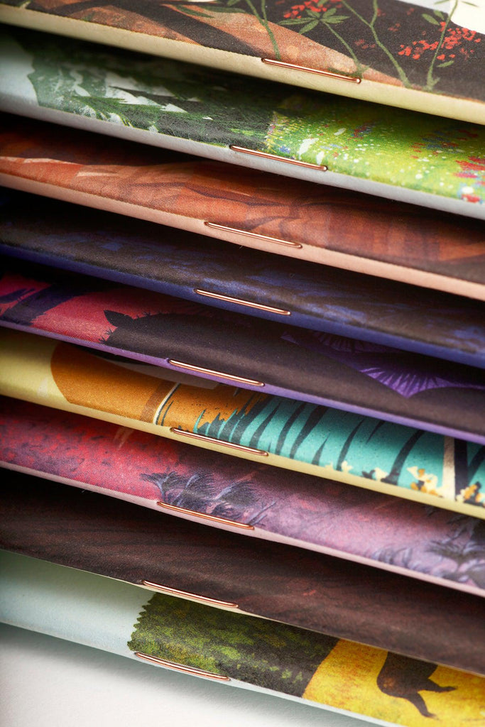 Field Notes | National Parks