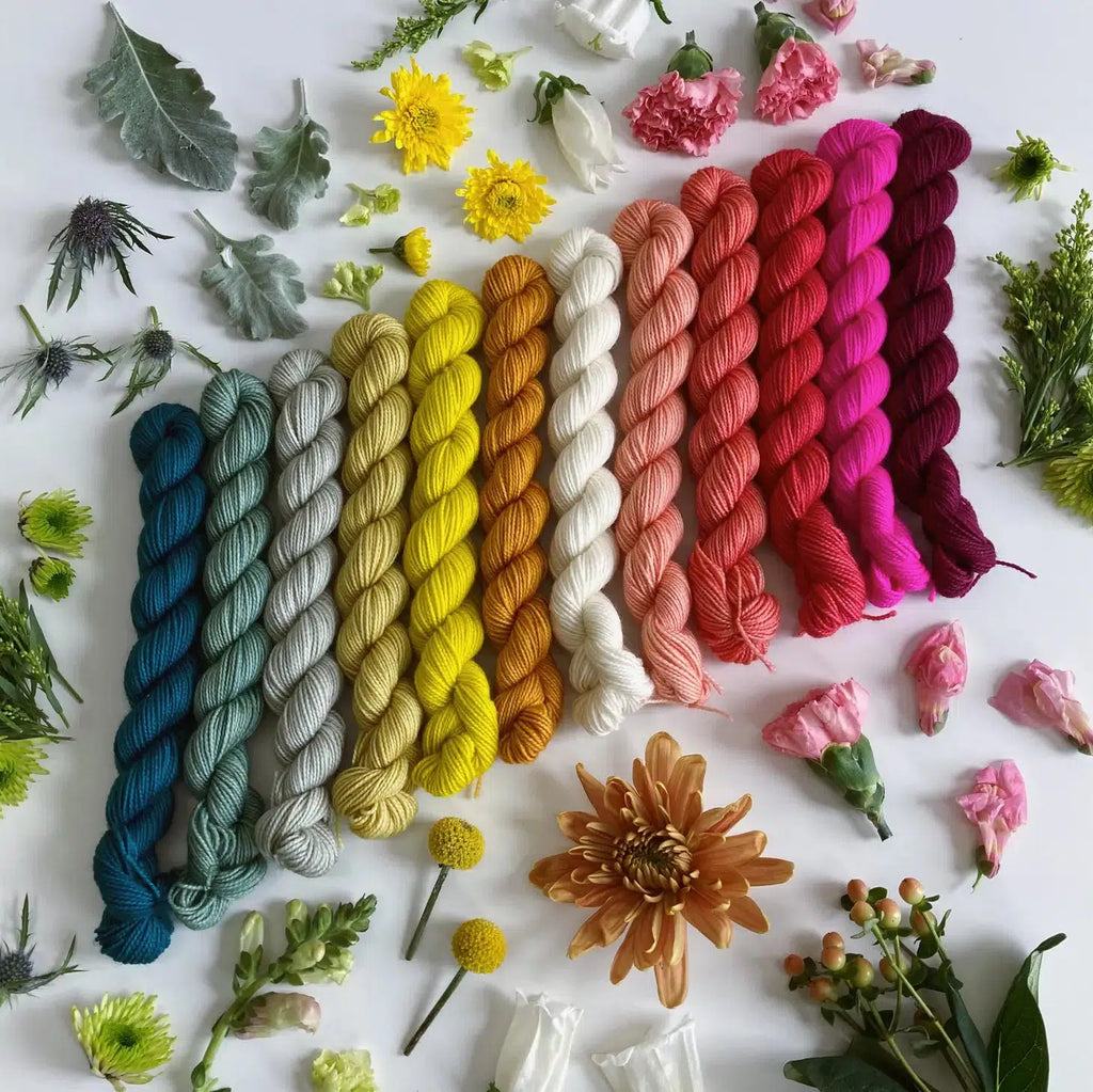 Coates & Co | Prairie Sock Mini Skeins