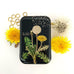 FIREFLY NOTES | Notions Tin :: Dandelion