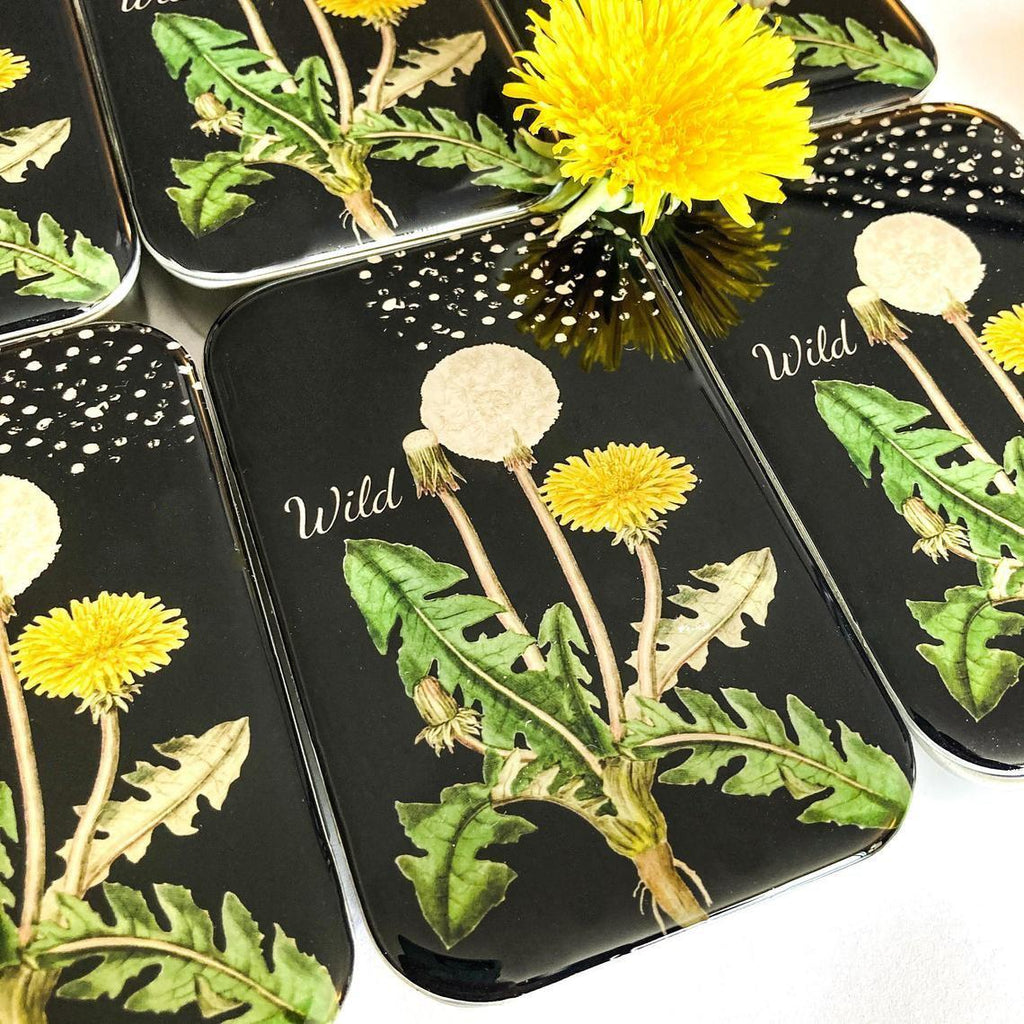 FIREFLY NOTES | Notions Tin :: Dandelion