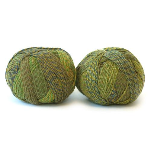 Schoppel | Edition 3