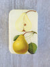 FIREFLY NOTES | Notions Tin :: Botanical Pear