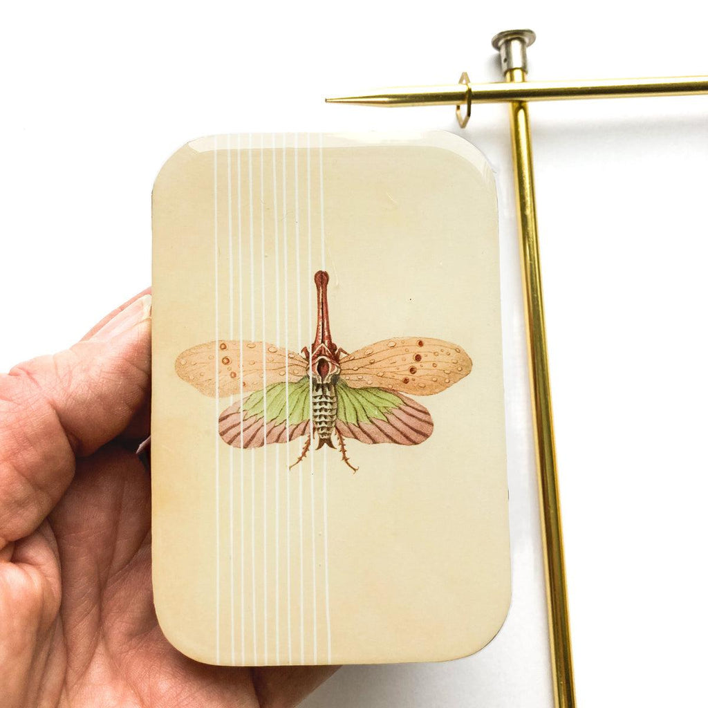 FIREFLY NOTES | Notions Tin :: Spring Moth