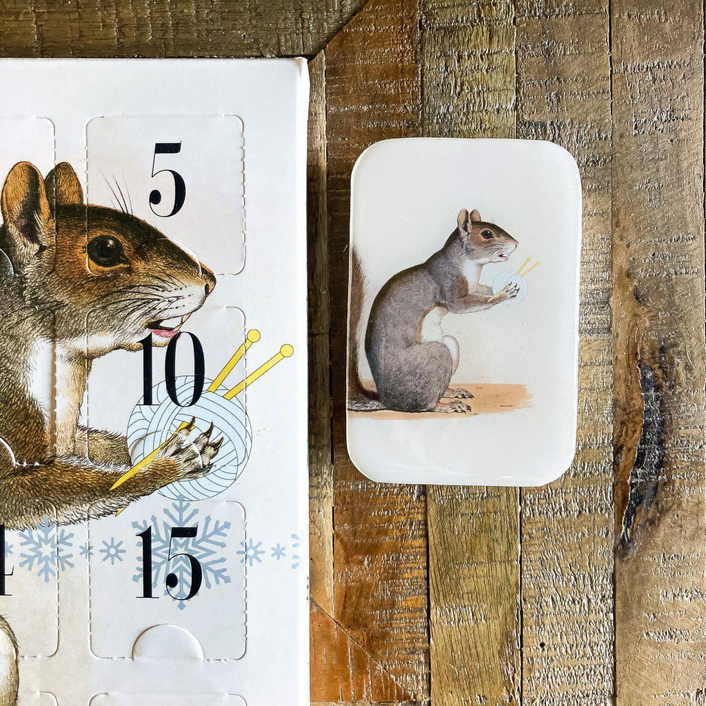 FIREFLY NOTES | Notions Tin :: Yarn Squirrel