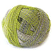 Schoppel | Zauberball Crazy