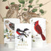 Field Notes | Birds and Trees of North America