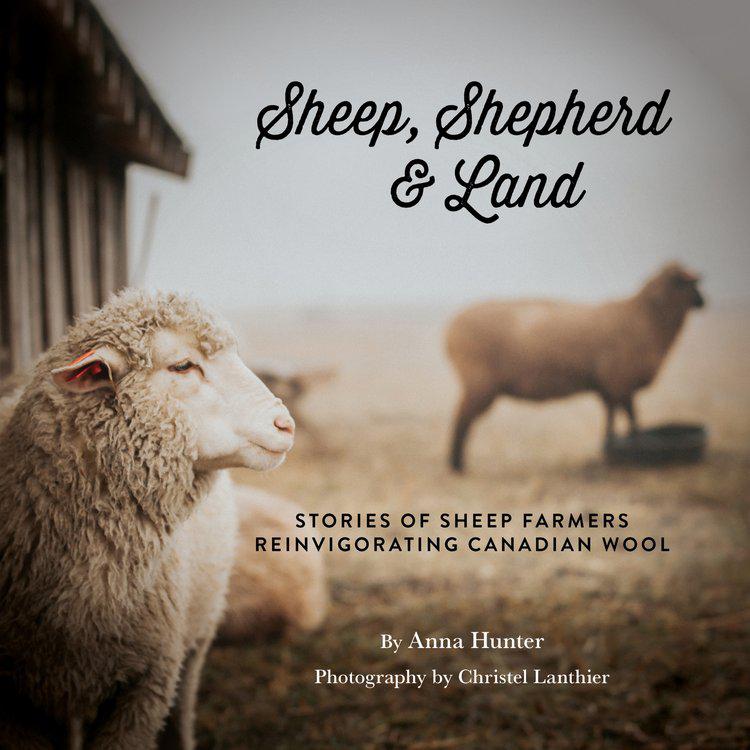 Sheep, Shepherd & Land | by Anna Hunter