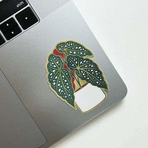 Paper Anchor Co Sticker | Begonia