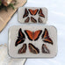 FIREFLY NOTES | Notions Tin :: Orange Butterflies