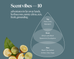 SIBLINGS | No 10 — Yuzu, Shiso Leaf, Black Tea