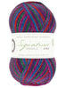 WYS | Holiday Sparkle Collection