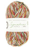 WYS | Holiday Sparkle Collection