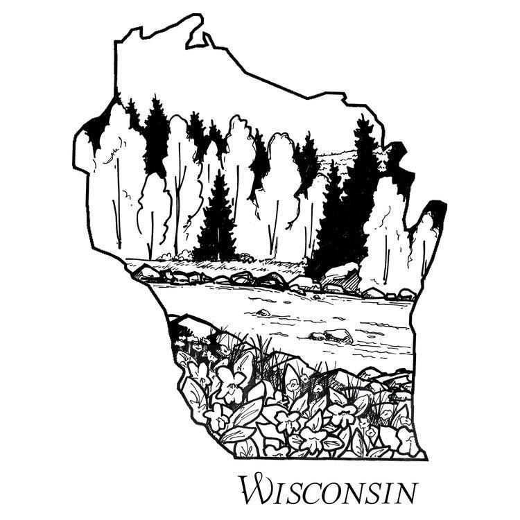 CORVIDAE | Wisconsin Sticker