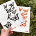 CORVIDAE | Swedish Dishcloth Butterfly